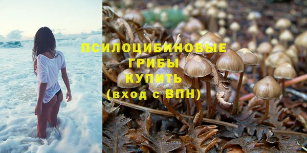 ГАЛЛЮЦИНОГЕННЫЕ ГРИБЫ Лабытнанги