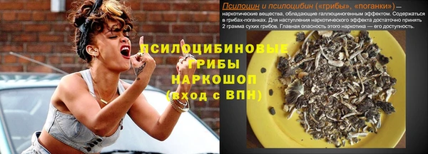 ГАЛЛЮЦИНОГЕННЫЕ ГРИБЫ Лабытнанги