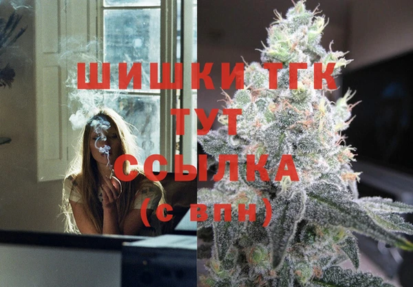 PSILOCYBIN Лагань
