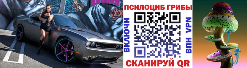 Купить где  Арамиль  Псилоцибиновые грибы ЛСД 
